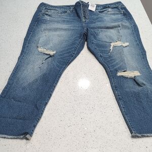 Torrid High Rise Straight Jeans